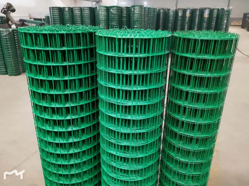 南沙荷兰网